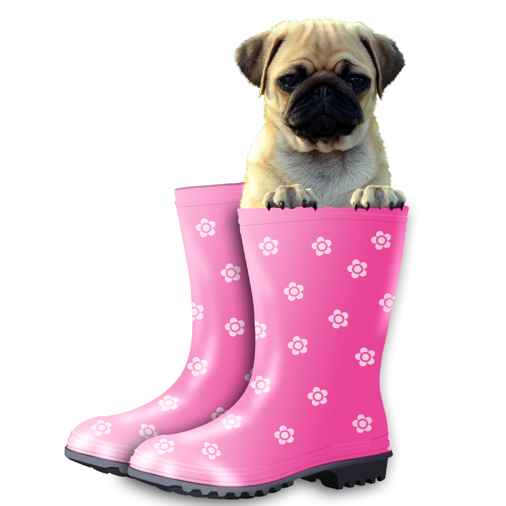 Dog Grooming Huddersfield AV Purrfect Pets